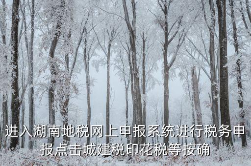 湖南省地稅局個(gè)人如何注冊，湖南地稅網(wǎng)上申報(bào)系統(tǒng)