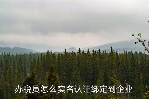 重慶稅務局辦稅人員如何綁定，個人怎么綁定企業(yè)辦稅員