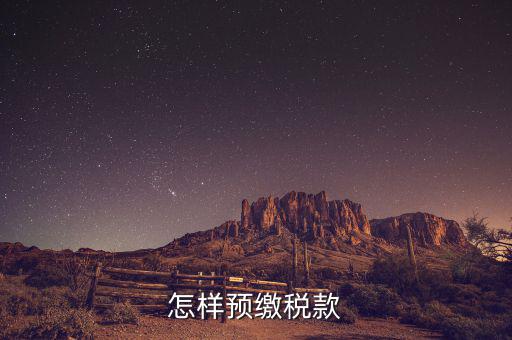 在電子稅務局網(wǎng)上如何預繳稅款，具體網(wǎng)上繳納稅款流程