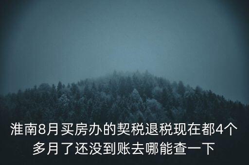 淮南8月買(mǎi)房辦的契稅退稅現(xiàn)在都4個(gè)多月了還沒(méi)到賬去哪能查一下