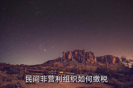 非營利組織如何納稅，民間非營利組織如何繳稅