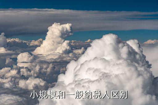 一般納稅人和小規(guī)模納稅人如何區(qū)分，小規(guī)模和一般納稅人的區(qū)別是什么