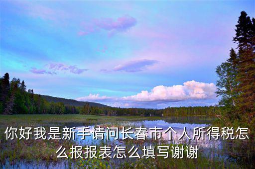 長春國稅如何報稅，長春市地稅申報