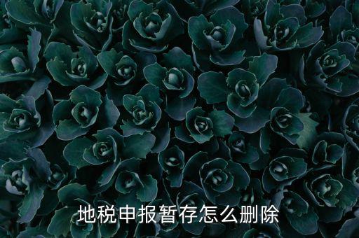 地稅的附加稅如何刪除申報(bào)記錄，地稅報(bào)表報(bào)錯(cuò)怎樣刪除