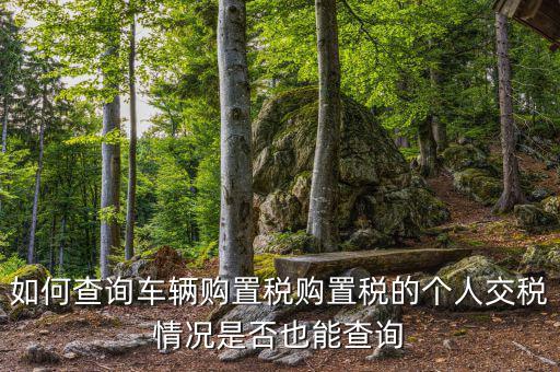 如何查汽車(chē)購(gòu)置稅，我想查查我的車(chē)輛購(gòu)置稅是多少怎么查