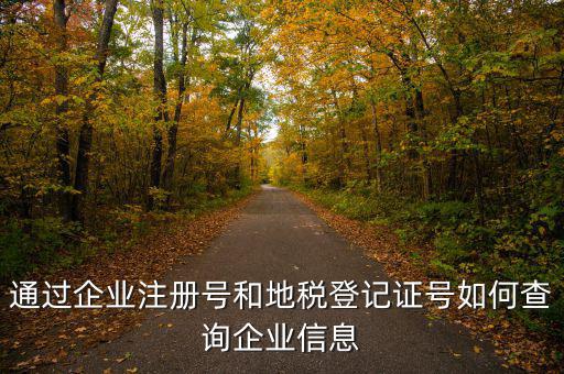 山東 如何查企業(yè)稅務(wù)信息，通過(guò)企業(yè)注冊(cè)號(hào)和地稅登記證號(hào)如何查詢(xún)企業(yè)信息