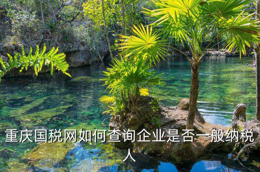 如何在國稅網(wǎng)查是否一般納稅人，怎么在網(wǎng)上查一個單位是不是一般納稅人