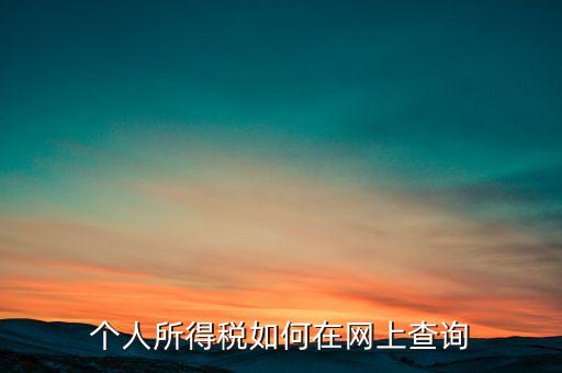 天津如何查個(gè)人所得稅，個(gè)人所得稅如何在網(wǎng)上查詢