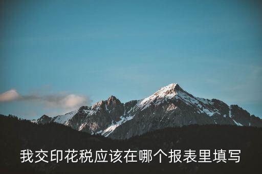 網(wǎng)上印花稅表如何填寫，印花稅申報(bào)報(bào)表要怎么填啊