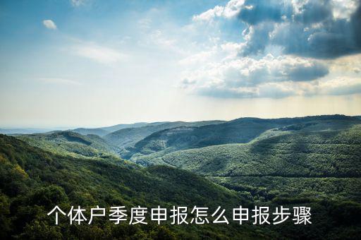 個體戶如何季度申報表，個體戶每個季度怎樣報稅