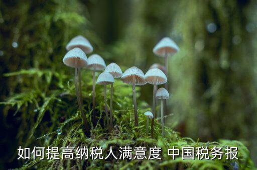 地稅如何提升納稅人滿意度，如何提高納稅人滿意度 中國稅務報