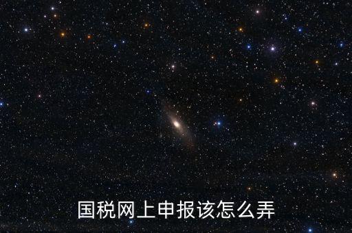 國稅新系統(tǒng)如何申報，國稅網(wǎng)上申報該怎么弄