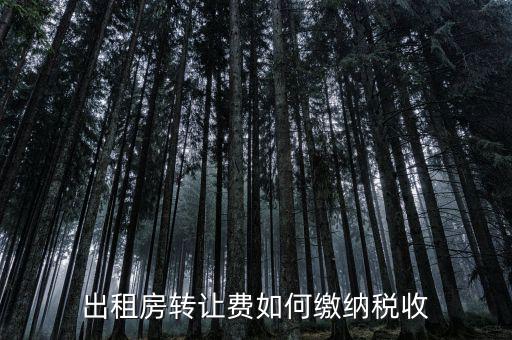 房屋轉(zhuǎn)租如何繳增值稅，房屋轉(zhuǎn)租怎樣交稅
