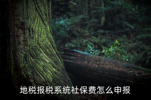 地稅如何申報社保嗎，地稅報稅時社保怎么填