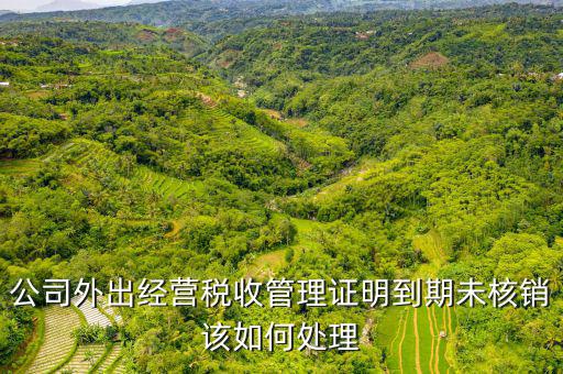 未核銷外經(jīng)證如何查詢，外經(jīng)證有效期在網(wǎng)上怎么查詢