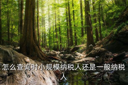 如何查詢成為納稅人時間，怎么查詢時小規(guī)模納稅人還是一般納稅人