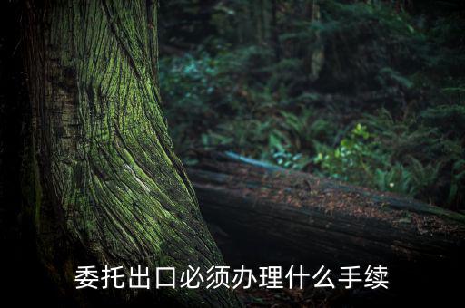 如何開具代理出口貨物證明，代理公司在當?shù)亻_具代理出口貨物證明 請問我公司如何