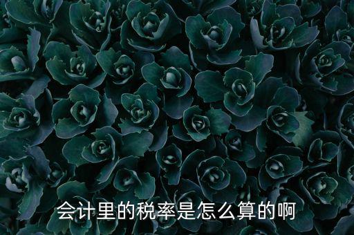 簡易征收稅率如何計算方法，增值稅簡易計稅方法計算公式是什么 會計問答網(wǎng)