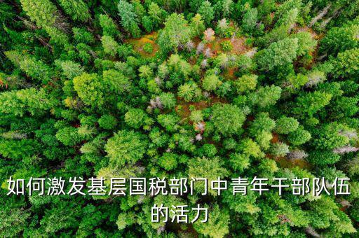 稅務(wù)如何激發(fā)干部活力，如何激發(fā)稅務(wù)干部的創(chuàng)新積極性