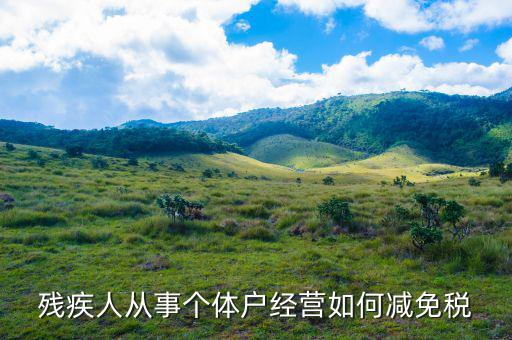 個稅申報 殘疾人如何減免，殘疾人從事個體戶經(jīng)營如何減免稅