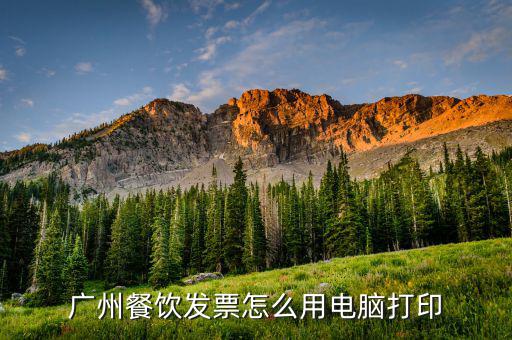 如何打印餐飲發(fā)票嗎，廣州餐飲發(fā)票怎么用電腦打印