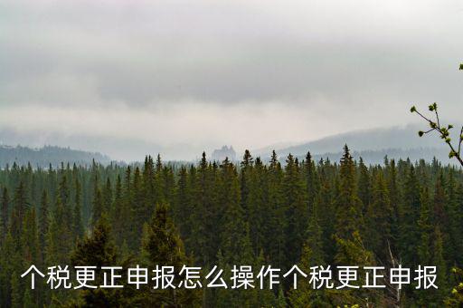 福建個(gè)人所得稅如何申報(bào)更正，個(gè)稅申報(bào)錯(cuò)了如何更正