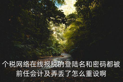個稅網(wǎng)絡(luò)在線報(bào)稅的登陸名和密碼都被前任會計(jì)及弄丟了怎么重設(shè)啊