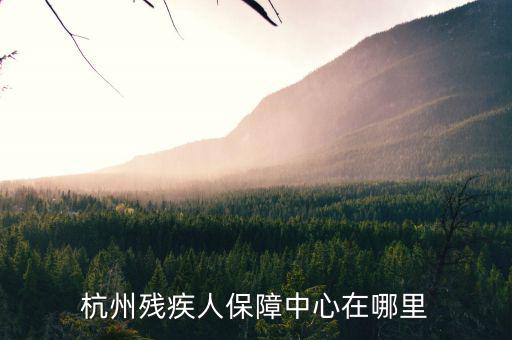 杭州市殘保證如何申請，杭州殘疾人保障中心在哪里