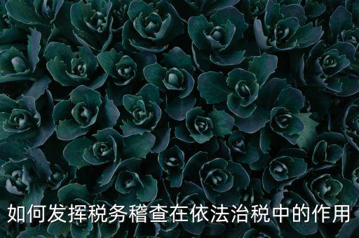 稽查部門如何優(yōu)化稅收營商環(huán)境，如何充分發(fā)揮稽查職能作用更好服務(wù)于全省稅收征管工作發(fā)展大局