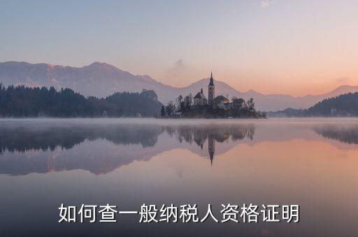 如何查一般納稅人資格，如何查一般納稅人資格證明