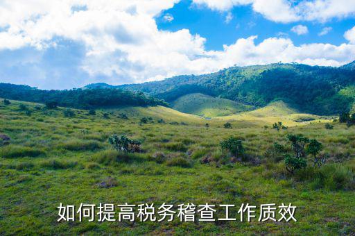 如何提高國稅稽查工作質(zhì)效，如何提高稅務稽查工作質(zhì)效
