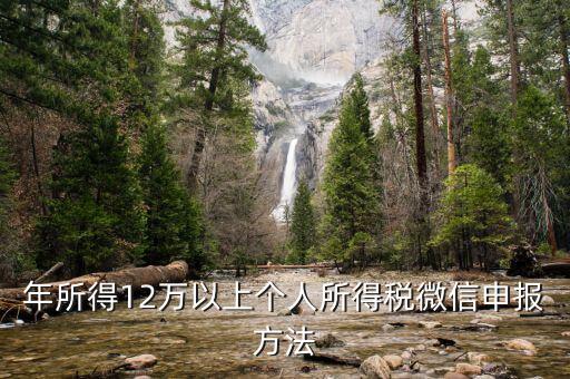 江蘇12萬元申報如何登錄申請，江蘇12萬元個人所得稅怎么申報