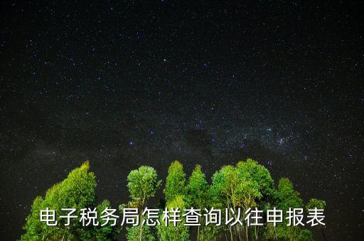 如何查詢國稅申報，如何查詢個人所得稅申報明細情況