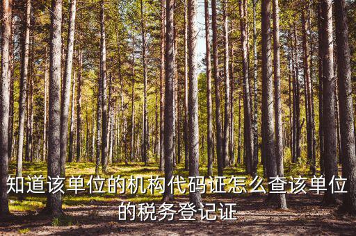如何查企業(yè)稅務(wù)局登記，公司的稅務(wù)登記證號(hào)怎么查詢