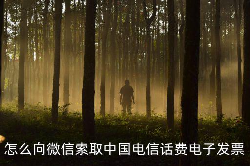發(fā)票幫公眾號(hào)如何使用，9月1號(hào)預(yù)付微信公眾號(hào)300元9月6號(hào)收到發(fā)票要怎么做賬