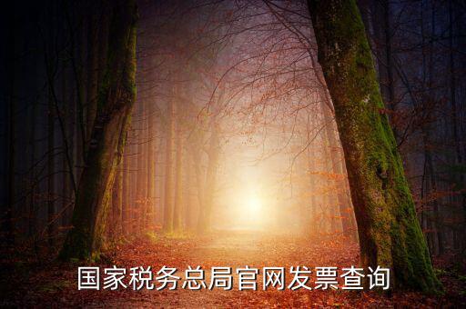 江蘇國稅如何查詢發(fā)票，江蘇發(fā)票真?zhèn)尾樵內(nèi)绾尾樵兘K發(fā)票真?zhèn)尾樵內(nèi)绾尾樵冏钪匾氖沁M