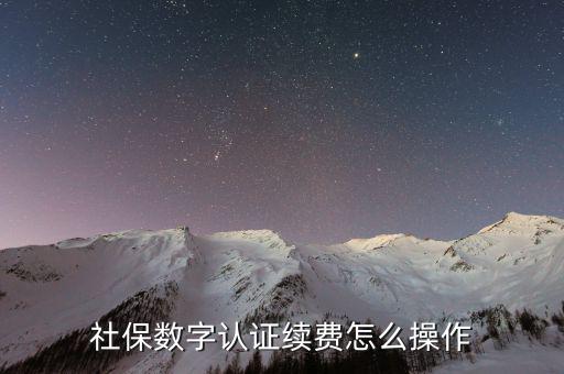 數(shù)字證書(shū)如何續(xù)費(fèi)，社保和公積金的數(shù)字證書(shū)到期怎么續(xù)費(fèi)啊