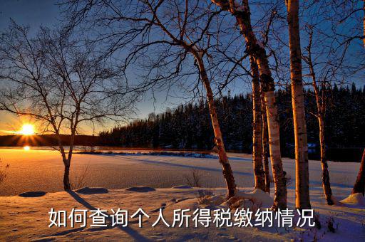 如何查詢自己交稅情況，個人繳稅記錄怎么查詢