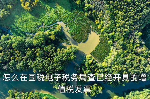 國(guó)稅發(fā)票如何查詢，國(guó)稅發(fā)票怎么查詢
