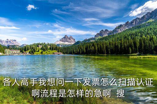 如何掃描認(rèn)證發(fā)票，各人高手我想問一下發(fā)票怎么掃描認(rèn)證啊流程是怎樣的急啊  搜