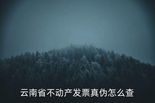 不動(dòng)產(chǎn)統(tǒng)一發(fā)票如何查詢(xún)真?zhèn)危N(xiāo)售不動(dòng)產(chǎn)統(tǒng)一發(fā)票真假怎么辨別