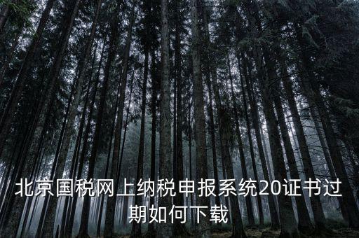 北京國稅網(wǎng)站如何更新，如何在國稅網(wǎng)上更新公司的信息