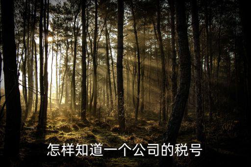 單位稅號如何查詢，知道公司名字怎么查稅號嗎