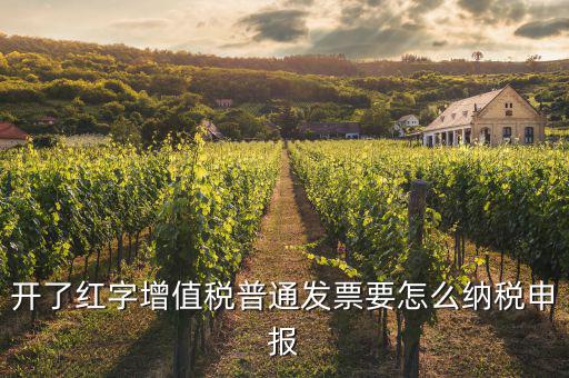 紅字進(jìn)項(xiàng)如何申報(bào)，開了紅字增值稅普通發(fā)票要怎么納稅申報(bào)