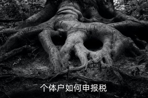個(gè)體工商戶稅如何申報(bào)，個(gè)體工商戶個(gè)稅怎么報(bào)