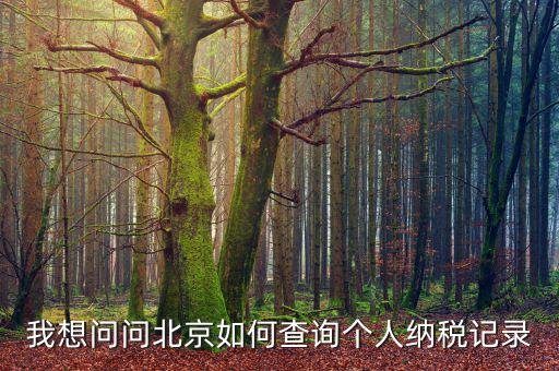北京如何查稅收，我想問問北京如何查詢個(gè)人納稅記錄