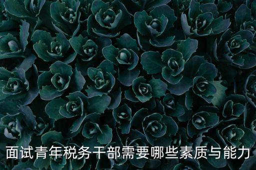 稅務(wù)年輕干部如何培養(yǎng)，面試青年稅務(wù)干部需要哪些素質(zhì)與能力