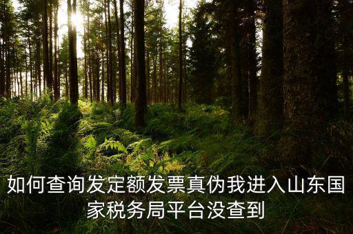 公交卡定額發(fā)票如何查詢真?zhèn)?，如何查詢發(fā)定額發(fā)票真?zhèn)挝疫M入山東國家稅務局平臺沒查到