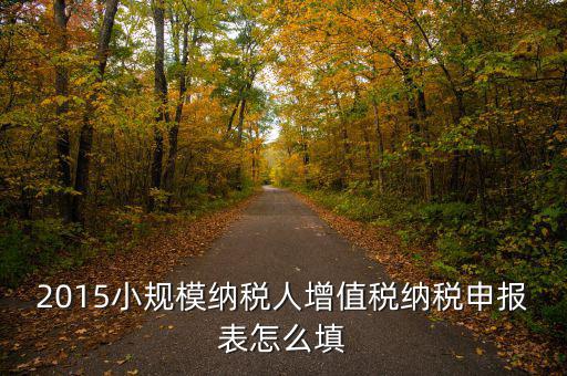 小規(guī)模納稅人國(guó)稅申報(bào)表如何填，小規(guī)模納稅人的報(bào)表怎么填