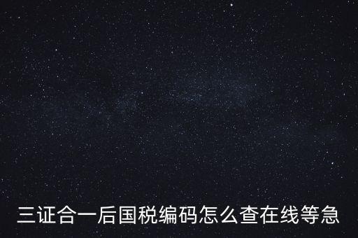 如何查詢個(gè)人稅務(wù)編號(hào)查詢系統(tǒng)，請(qǐng)問在哪里可以查到納稅人編碼